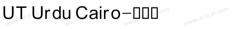 UT Urdu Cairo字体转换